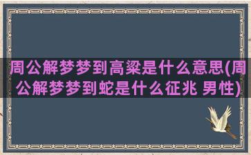 周公解梦梦到高粱是什么意思(周公解梦梦到蛇是什么征兆 男性)